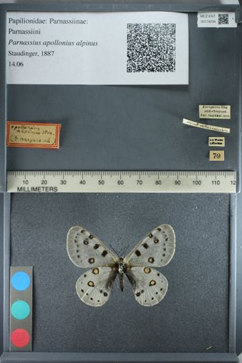 Media type: image;   Entomology 174234